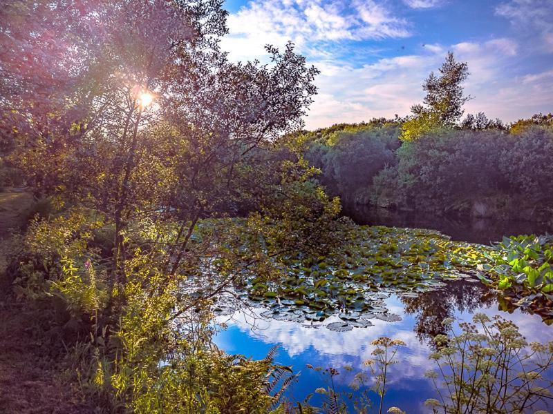 Trecombe Lakes Camborne Buitenkant foto