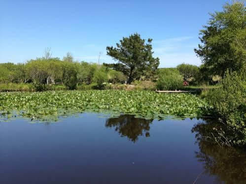 Trecombe Lakes Camborne Buitenkant foto